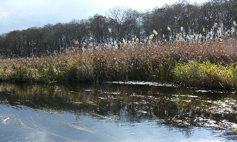 b0068572_035350.jpg