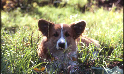 d0083282_2344571.jpg