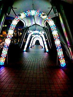 c0096685_18414218.jpg
