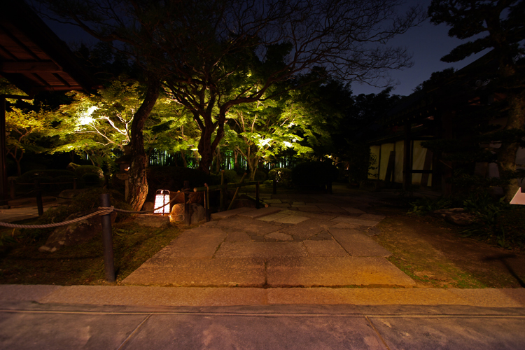 圓光寺のライトアップ_e0051888_20461976.jpg