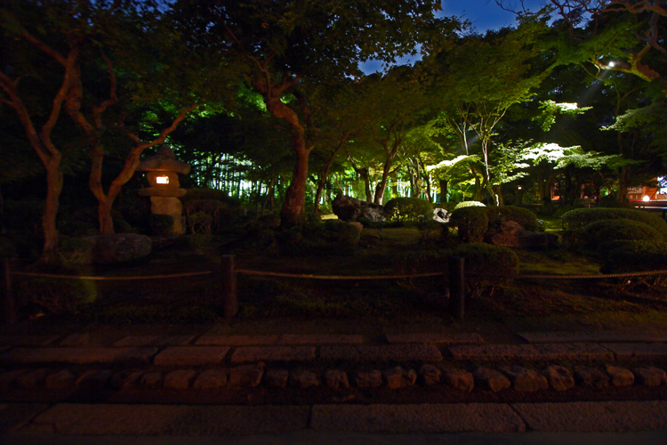 圓光寺のライトアップ_e0051888_2046313.jpg