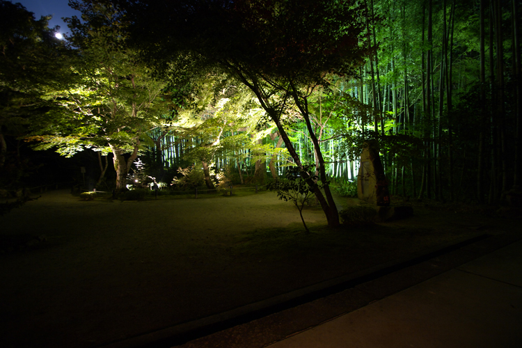 圓光寺のライトアップ_e0051888_2048634.jpg