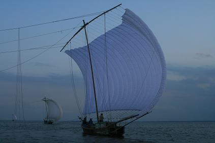 d0025894_115573.jpg