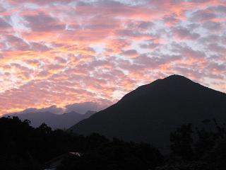 屋久島旅行(11/3 白谷雲水峡）_b0008598_1413215.jpg