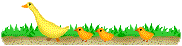 c0052304_1110882.gif