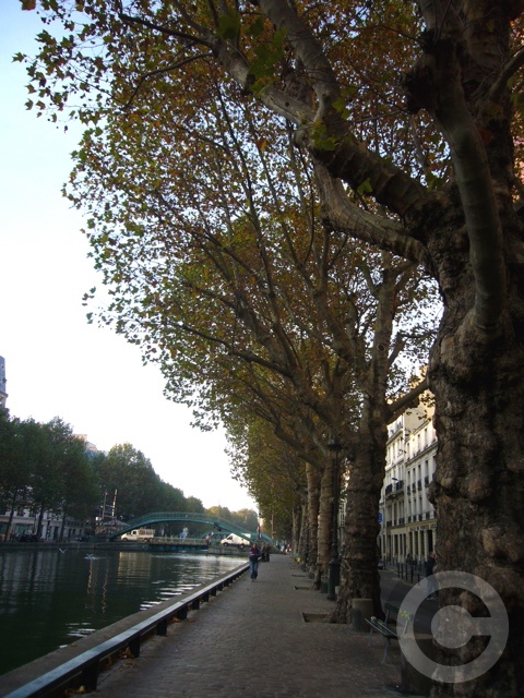 ■秋のサン・マルタン運河Canal Saint-Martin（PARIS）_a0008105_16513659.jpg