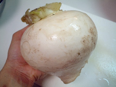 f0043911_05825.jpg