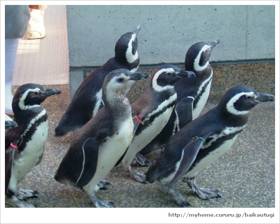 水族園と_d0065113_7323352.jpg