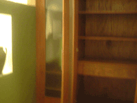 d0038319_9484193.gif