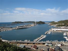 e0002820_1635387.jpg
