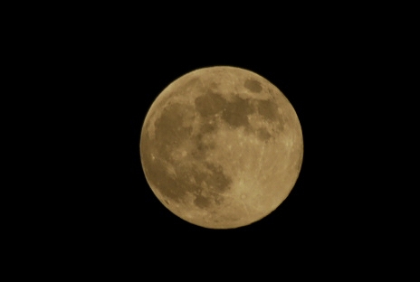 a0071724_19241746.jpg