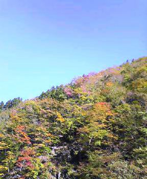 c0089831_6493249.jpg