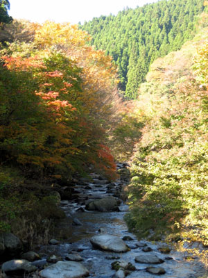 １１月１０日　四時川渓谷の紅葉状況_f0105342_13395019.jpg