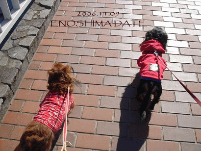 c0016745_15173093.gif