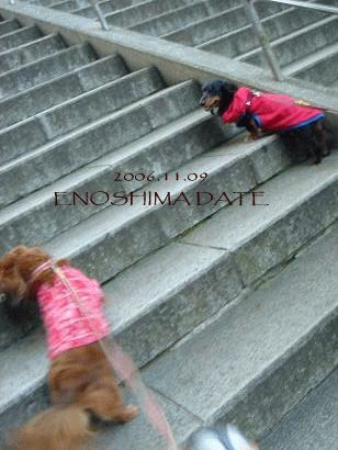 c0016745_1520294.gif