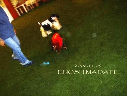 c0016745_15233675.gif