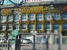 e0023845_16624.jpg