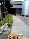 d0007957_2352745.jpg