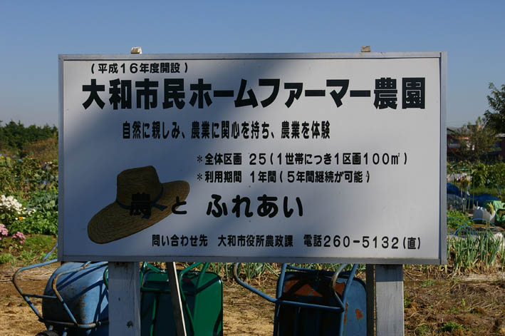 「大和市民ホームファーマー農園」を訪問（2006・11・９）_c0014967_19313578.jpg