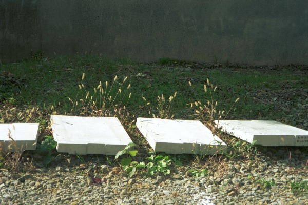 e0023068_11423.jpg