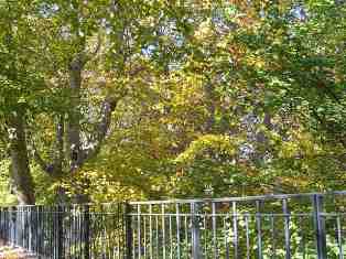 e0066571_8152222.jpg