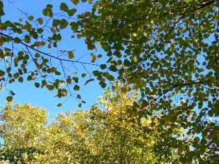 e0066571_82239100.jpg