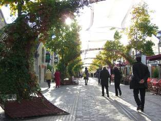e0066571_8382287.jpg