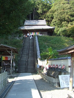 d0091279_15212845.jpg