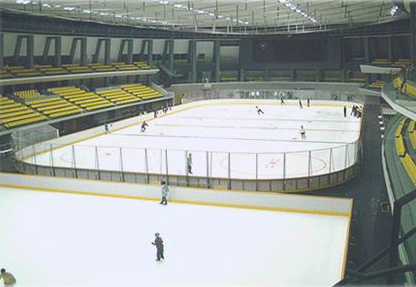 c0090084_4213100.gif