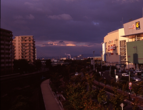 c0100988_551196.jpg