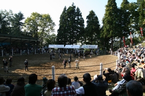 a0036412_0105245.jpg