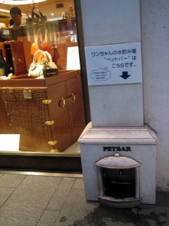 e0076814_1484394.jpg