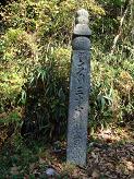 f0000521_1544517.jpg