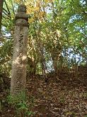 f0000521_1556047.jpg