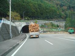f0000521_17521663.jpg
