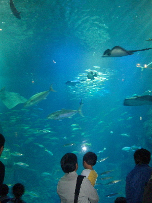 e0065031_1843130.jpg