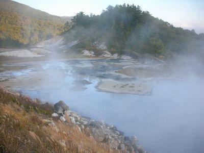 b0042334_1421276.jpg