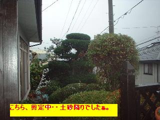 f0031037_19244825.jpg