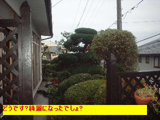 f0031037_19245712.jpg