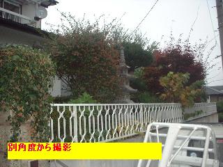 f0031037_19252029.jpg