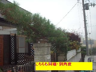 f0031037_19255392.jpg