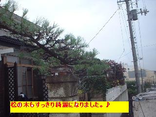 f0031037_192616.jpg
