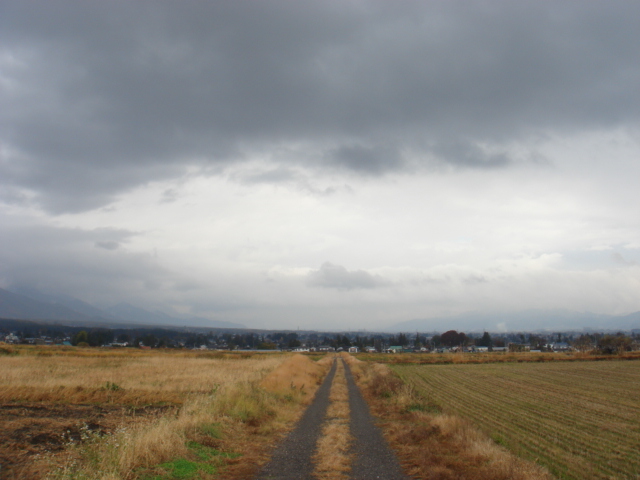 冷たい雨に_a0014840_22174939.jpg