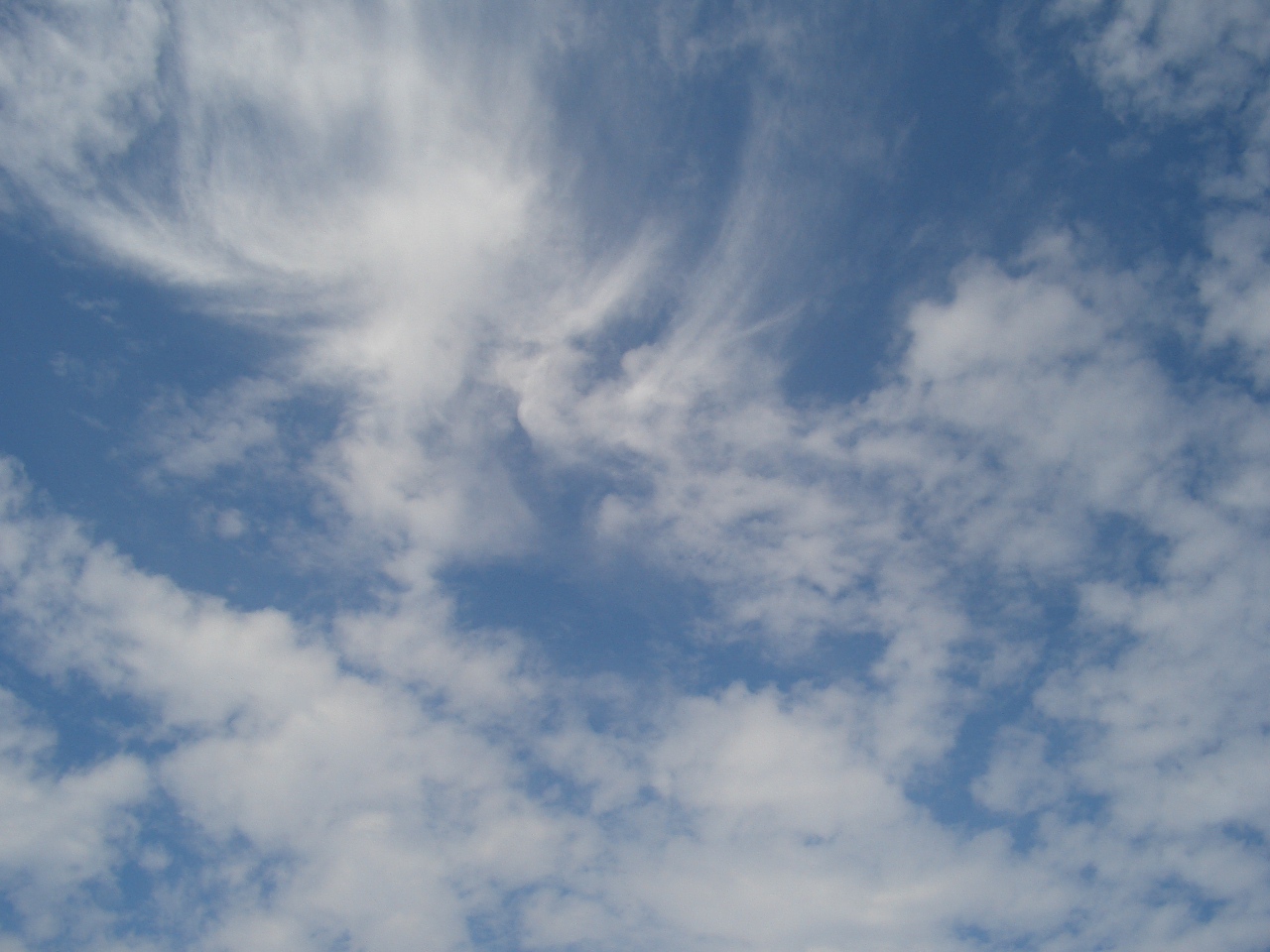 f0087245_1352098.jpg