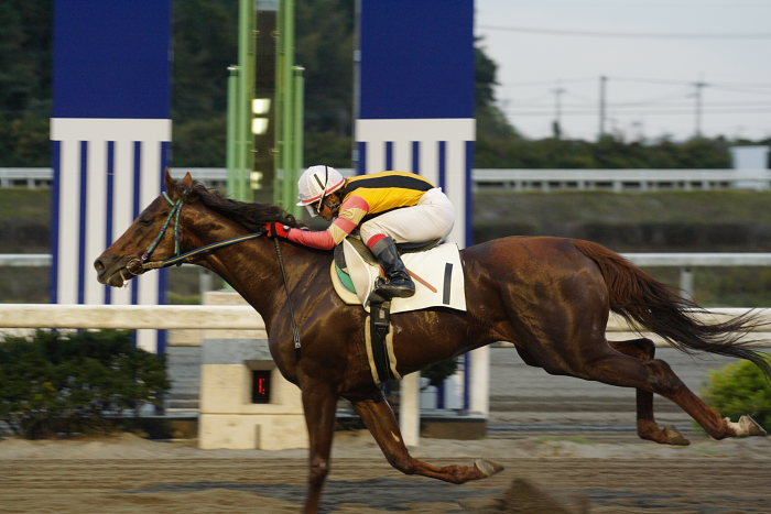 倉兼育康騎手、通算勝利800勝達成～_a0077663_19375334.jpg