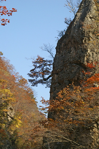 鳴子峡の紅葉_e0006964_15125461.jpg