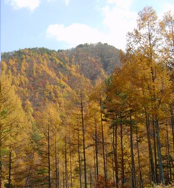 a0091680_16515732.jpg