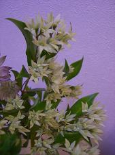 c0093180_22384348.jpg