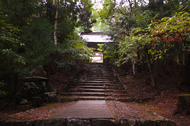 秋雨の常照皇寺_e0051888_20133082.jpg