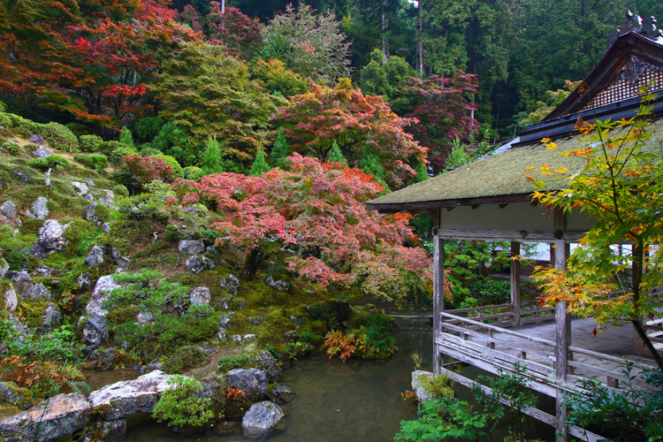秋雨の常照皇寺_e0051888_20163691.jpg